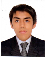 Gerente de Proyectos